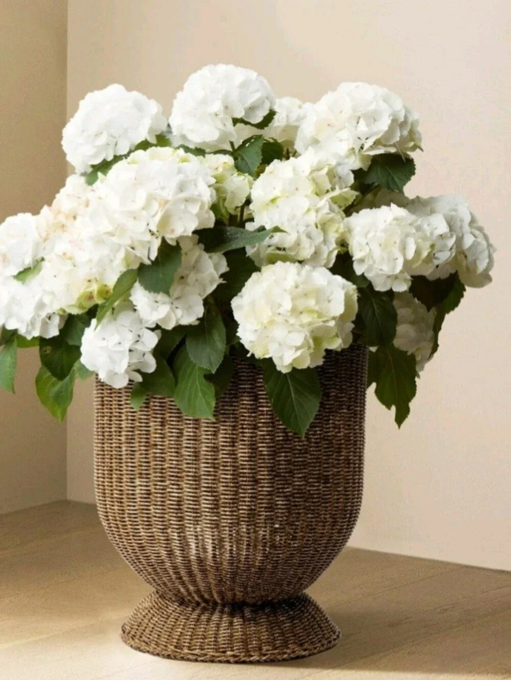 Woven Rattan Decorative Planter in Brown